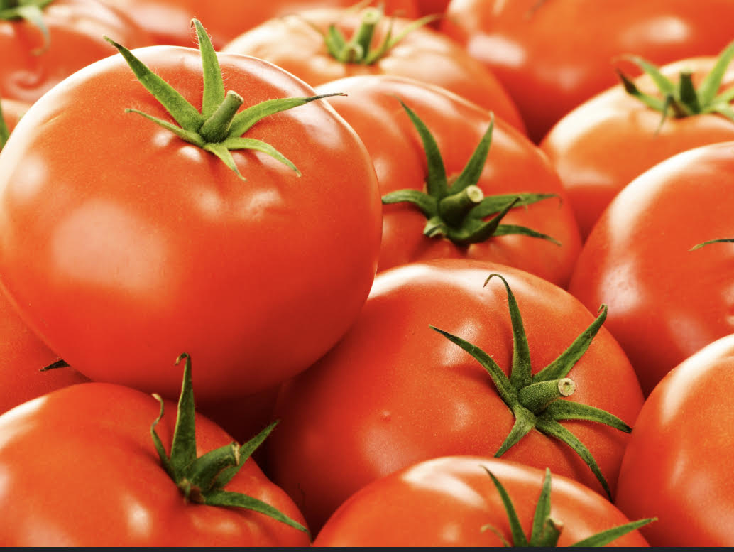 Tomato (Tomate) Big (2-lb/pack)